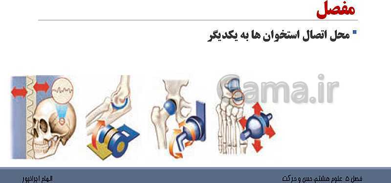 پاورپوینت تدریس فصل 5 علوم هشتم: حس و حرکت- پیش نمایش