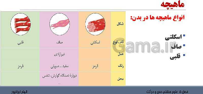 پاورپوینت تدریس فصل 5 علوم هشتم: حس و حرکت- پیش نمایش