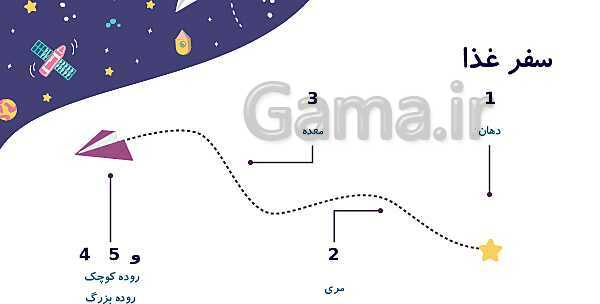 پاورپوینت آموزشی بدن ما: دستگاه گوارش- پیش نمایش