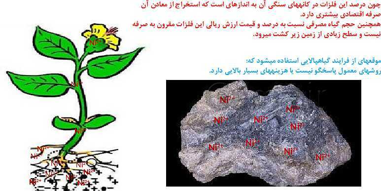 پاورپوینت آموزش فصل اول شیمی یازدهم: قدر هدایای زمینی را بدانیم- پیش نمایش