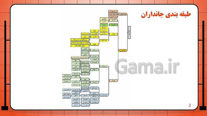 پاورپوینت تدریس فصل 14: جانوران مهره دار | علوم تجربی نهم- پیش نمایش