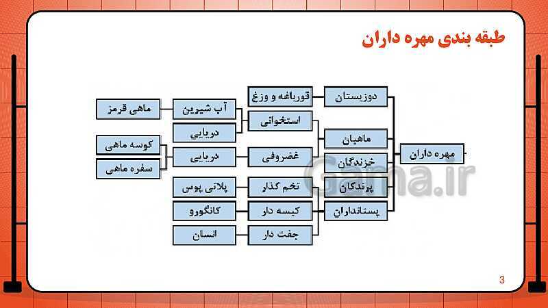 پاورپوینت تدریس فصل 14: جانوران مهره دار | علوم تجربی نهم- پیش نمایش