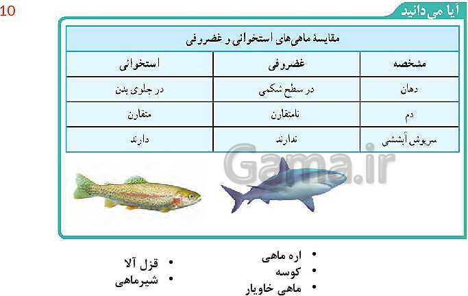 پاورپوینت تدریس فصل 14: جانوران مهره دار | علوم تجربی نهم- پیش نمایش