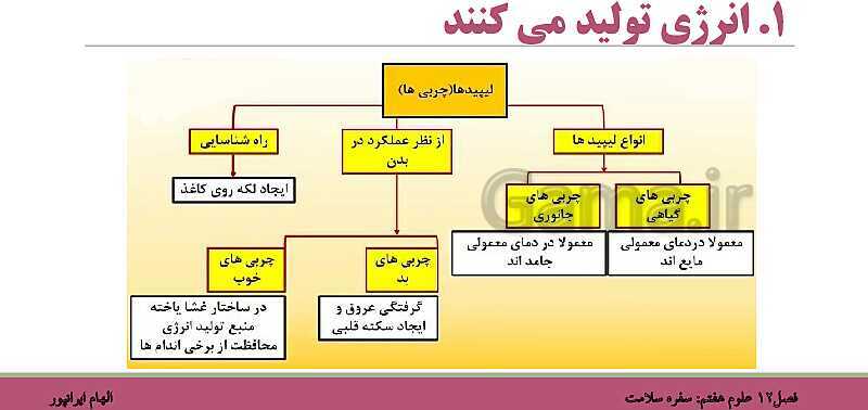 پاورپوینت تدریس فصل 12 علوم هفتم: سفره سلامت- پیش نمایش