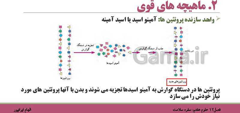 پاورپوینت تدریس فصل 12 علوم هفتم: سفره سلامت- پیش نمایش