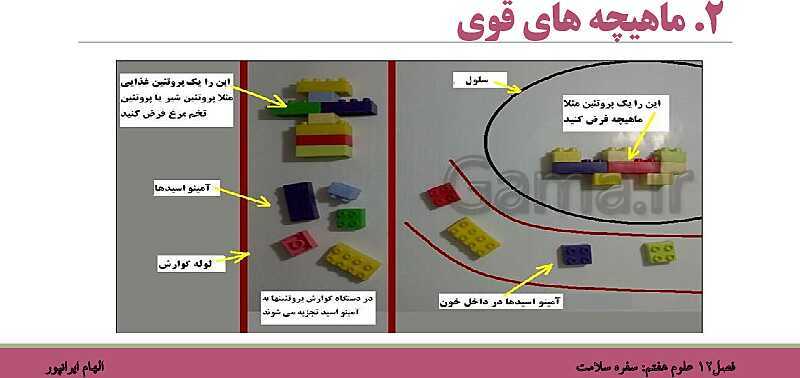 پاورپوینت تدریس فصل 12 علوم هفتم: سفره سلامت- پیش نمایش