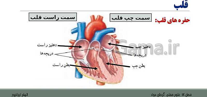 پاورپوینت تدریس فصل 14 علوم هفتم: گردش مواد- پیش نمایش