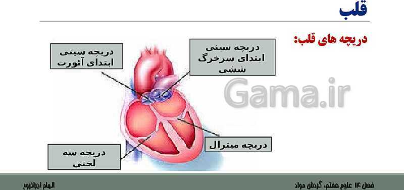 پاورپوینت تدریس فصل 14 علوم هفتم: گردش مواد- پیش نمایش