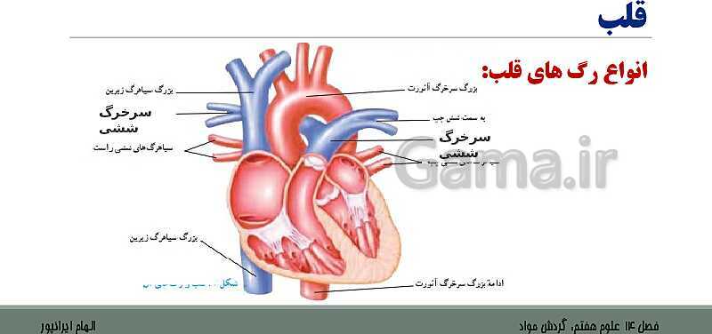 پاورپوینت تدریس فصل 14 علوم هفتم: گردش مواد- پیش نمایش