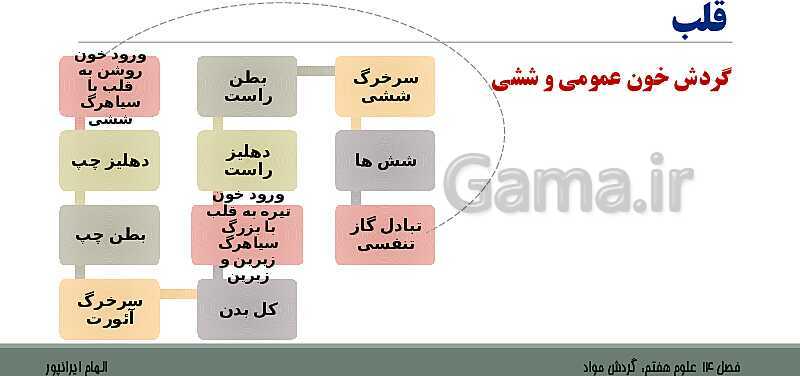 پاورپوینت تدریس فصل 14 علوم هفتم: گردش مواد- پیش نمایش