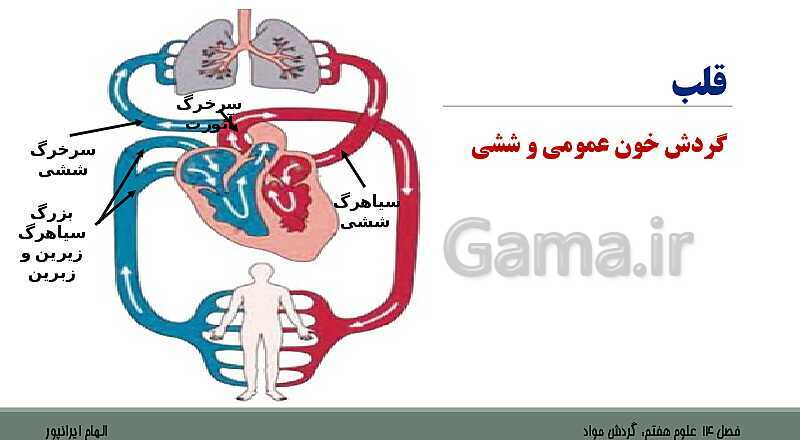 پاورپوینت تدریس فصل 14 علوم هفتم: گردش مواد- پیش نمایش