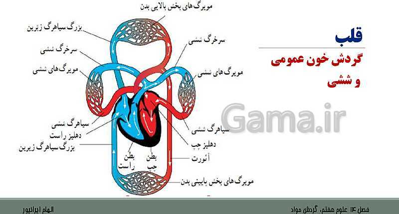 پاورپوینت تدریس فصل 14 علوم هفتم: گردش مواد- پیش نمایش