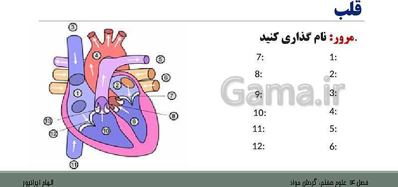 پاورپوینت تدریس فصل 14 علوم هفتم: گردش مواد- پیش نمایش