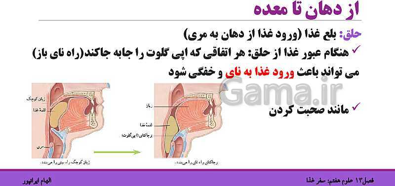 پاورپوینت تدریس فصل 13 علوم هفتم: سفر غذا- پیش نمایش