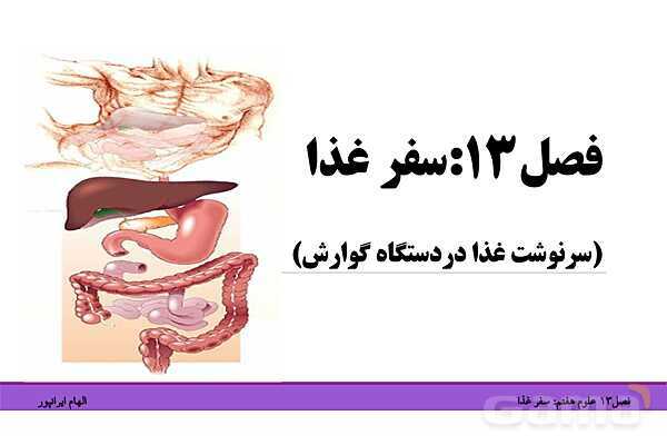 پاورپوینت تدریس فصل 13 علوم هفتم: سفر غذا- پیش نمایش
