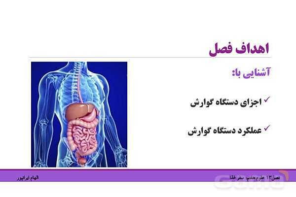 پاورپوینت تدریس فصل 13 علوم هفتم: سفر غذا- پیش نمایش