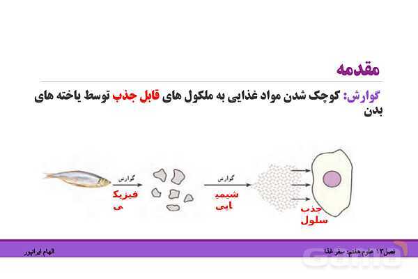 پاورپوینت تدریس فصل 13 علوم هفتم: سفر غذا- پیش نمایش