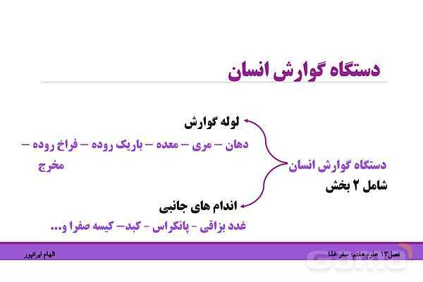 پاورپوینت تدریس فصل 13 علوم هفتم: سفر غذا- پیش نمایش