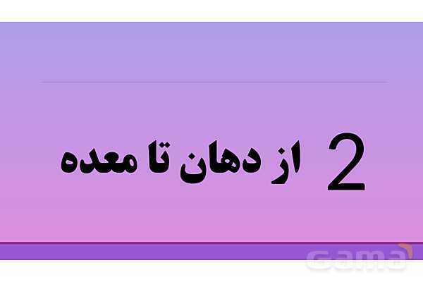 پاورپوینت تدریس فصل 13 علوم هفتم: سفر غذا- پیش نمایش