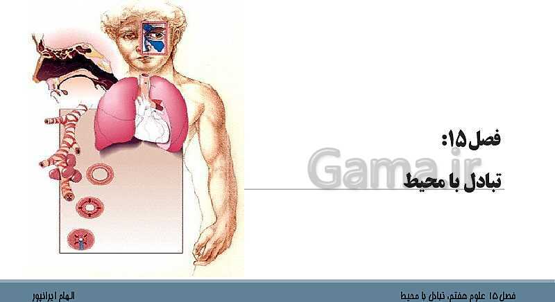 پاورپوینت تدریس فصل 15 علوم هفتم: تبادل با محیط- پیش نمایش