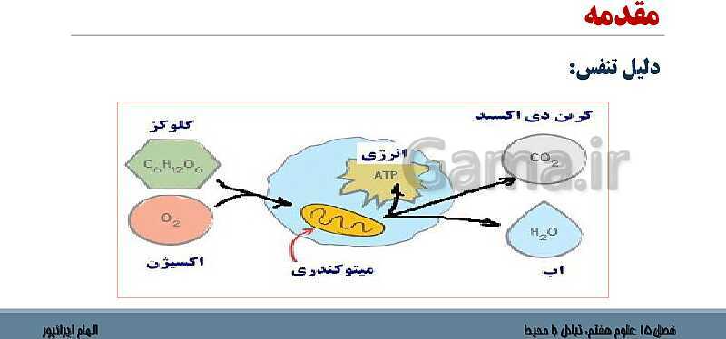 پاورپوینت تدریس فصل 15 علوم هفتم: تبادل با محیط- پیش نمایش