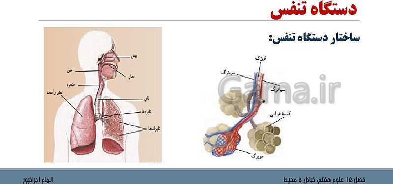 پاورپوینت تدریس فصل 15 علوم هفتم: تبادل با محیط- پیش نمایش