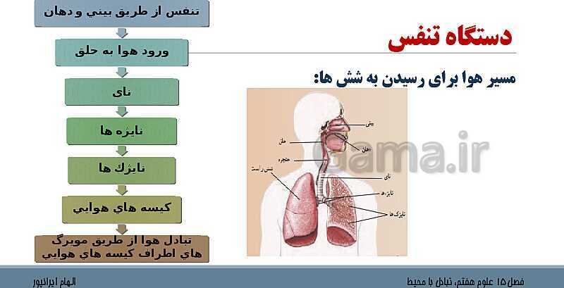 پاورپوینت تدریس فصل 15 علوم هفتم: تبادل با محیط- پیش نمایش