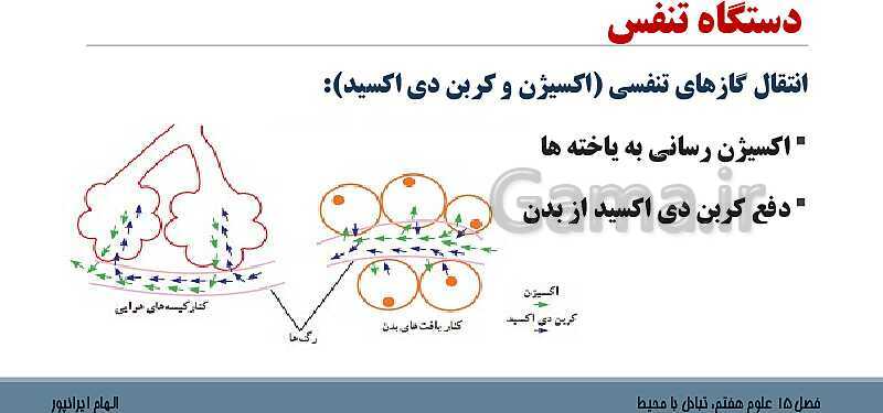 پاورپوینت تدریس فصل 15 علوم هفتم: تبادل با محیط- پیش نمایش