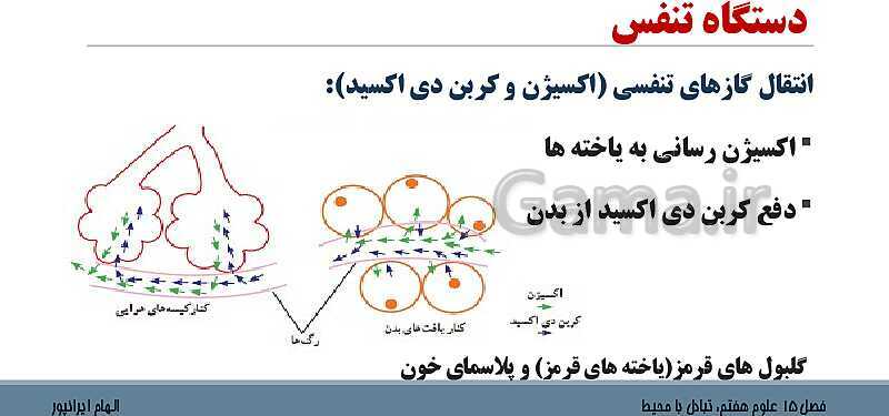 پاورپوینت تدریس فصل 15 علوم هفتم: تبادل با محیط- پیش نمایش