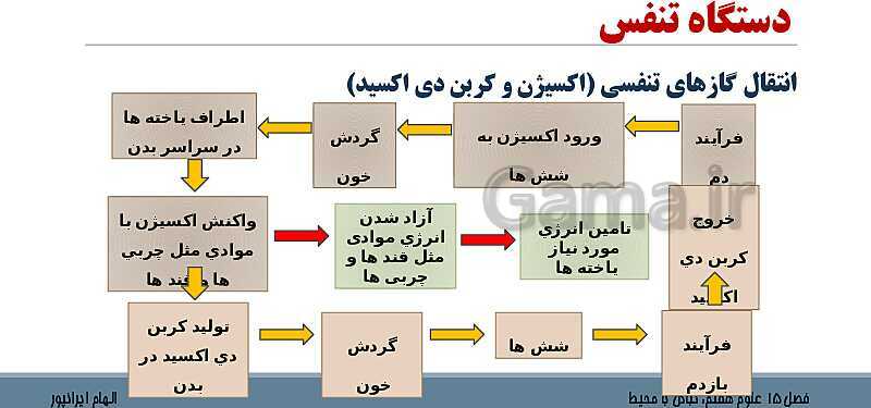 پاورپوینت تدریس فصل 15 علوم هفتم: تبادل با محیط- پیش نمایش