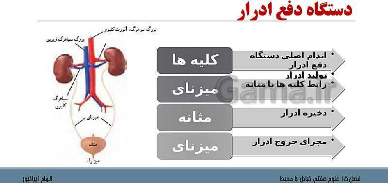 پاورپوینت تدریس فصل 15 علوم هفتم: تبادل با محیط- پیش نمایش