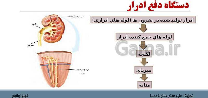 پاورپوینت تدریس فصل 15 علوم هفتم: تبادل با محیط- پیش نمایش