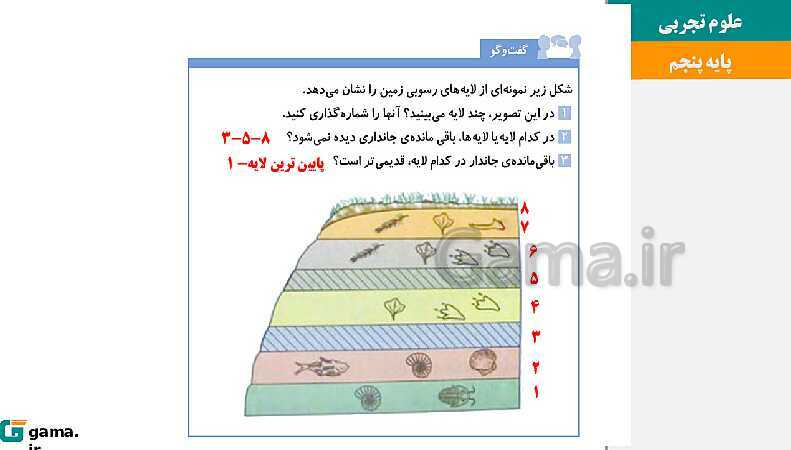 پاورپوینت آموزش و حل فعالیت‌های کتاب علوم تجربی پنجم | درس 4 برگی از تاریخ زمین- پیش نمایش