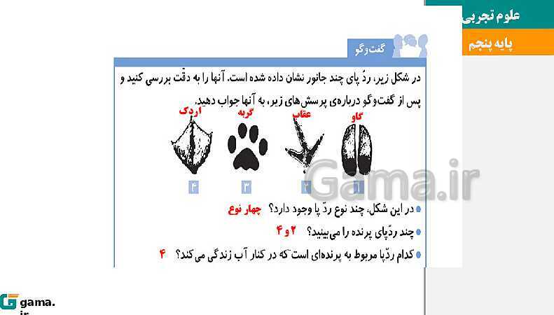 پاورپوینت آموزش و حل فعالیت‌های کتاب علوم تجربی پنجم | درس 4 برگی از تاریخ زمین- پیش نمایش