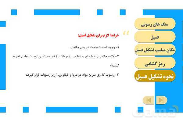 پاورپوینت آموزش و حل فعالیتهای کتاب علوم تجربی پنجم | درس 4 برگی از تاریخ زمین- پیش نمایش