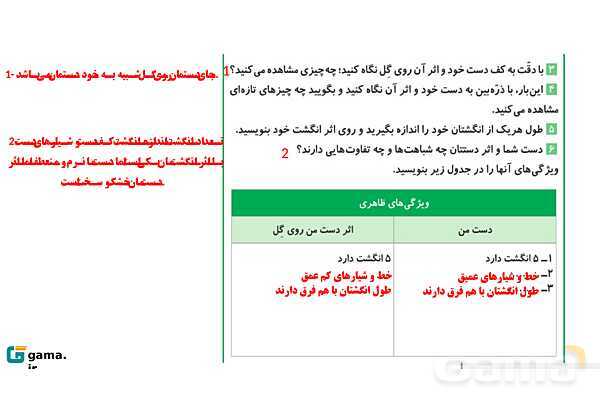 پاورپوینت آموزش و حل فعالیتهای کتاب علوم تجربی پنجم | درس 4 برگی از تاریخ زمین- پیش نمایش