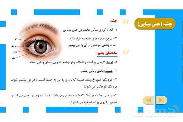 پاورپوینت آموزش و حل فعالیتهای کتاب علوم تجربی پنجم | درس 6 چه خبر (بینایی و شنوایی)- پیش نمایش
