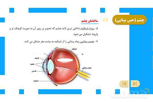 پاورپوینت آموزش و حل فعالیتهای کتاب علوم تجربی پنجم | درس 6 چه خبر (بینایی و شنوایی)- پیش نمایش