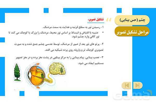 پاورپوینت آموزش و حل فعالیتهای کتاب علوم تجربی پنجم | درس 6 چه خبر (بینایی و شنوایی)- پیش نمایش