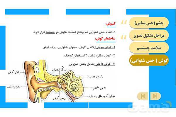 پاورپوینت آموزش و حل فعالیتهای کتاب علوم تجربی پنجم | درس 6 چه خبر (بینایی و شنوایی)- پیش نمایش