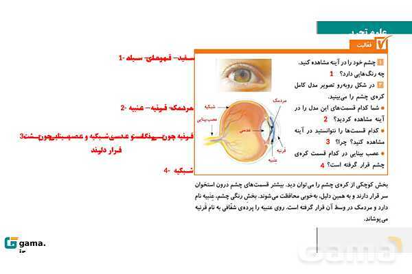 پاورپوینت آموزش و حل فعالیتهای کتاب علوم تجربی پنجم | درس 6 چه خبر (بینایی و شنوایی)- پیش نمایش