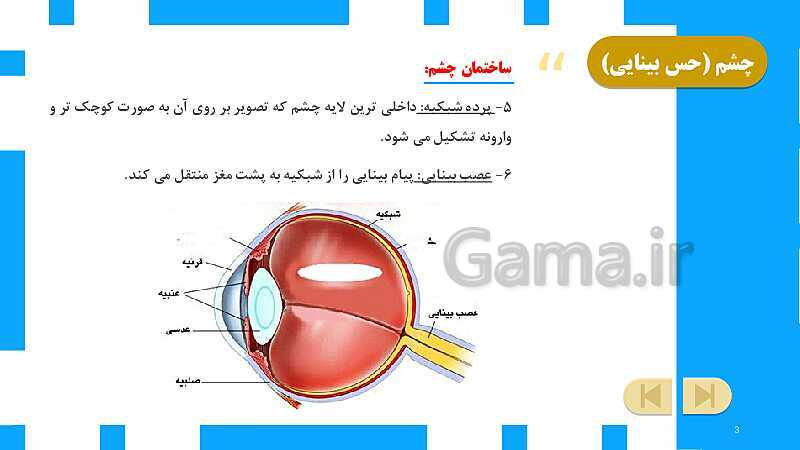 پاورپوینت آموزش و حل فعالیت‌های کتاب علوم تجربی پنجم | درس 6 چه خبر (بینایی و شنوایی)- پیش نمایش