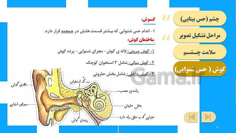 پاورپوینت آموزش و حل فعالیت‌های کتاب علوم تجربی پنجم | درس 6 چه خبر (بینایی و شنوایی)- پیش نمایش