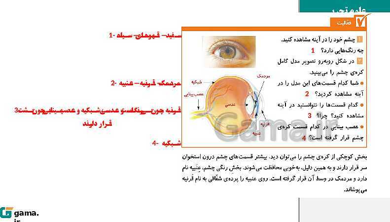 پاورپوینت آموزش و حل فعالیت‌های کتاب علوم تجربی پنجم | درس 6 چه خبر (بینایی و شنوایی)- پیش نمایش