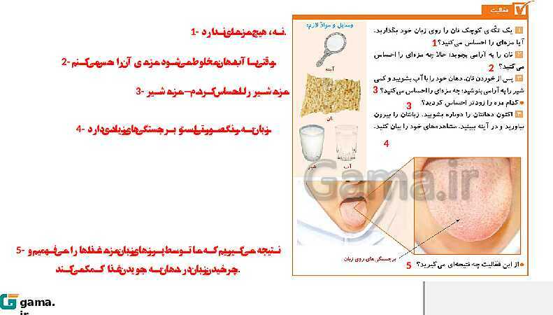 پاورپوینت آموزش و حل فعالیت‌های کتاب علوم تجربی پنجم | درس 7 چه خبر (چشایی، بویایی و لامسه)- پیش نمایش