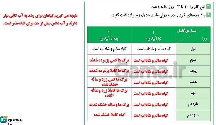 پاورپوینت آموزش و حل فعالیت‌های کتاب علوم تجربی پنجم | درس 11 بکارید و بخورید- پیش نمایش