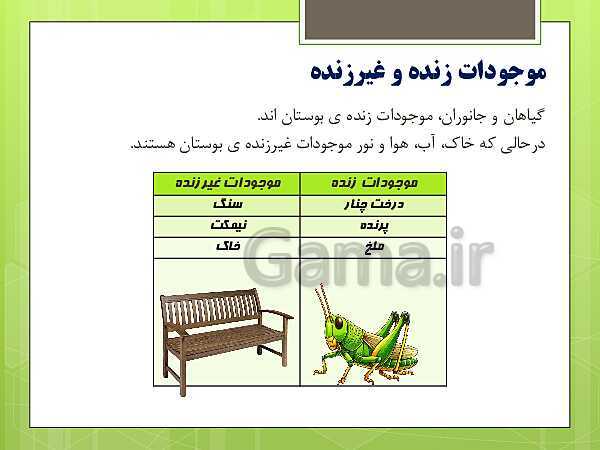  پاورپوینت علوم تجربی پایه چهارم دبستان | درس 13: زیستگاه- پیش نمایش