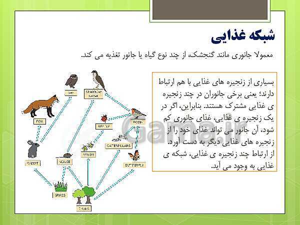  پاورپوینت علوم تجربی پایه چهارم دبستان | درس 13: زیستگاه- پیش نمایش