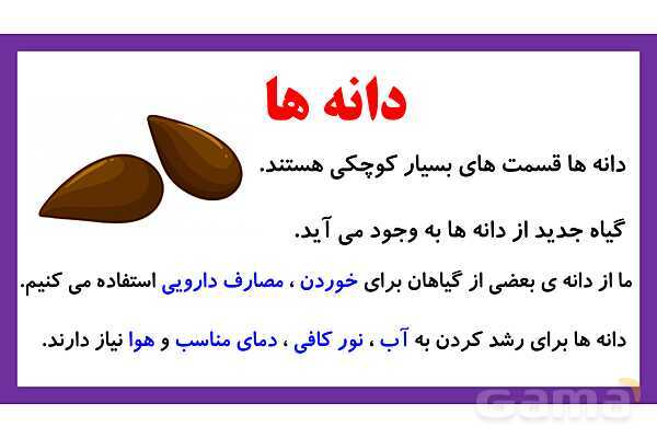 پاورپوینت تدریس درس 9: سرگذشت دانه | علوم تجربی دوم دبستان- پیش نمایش