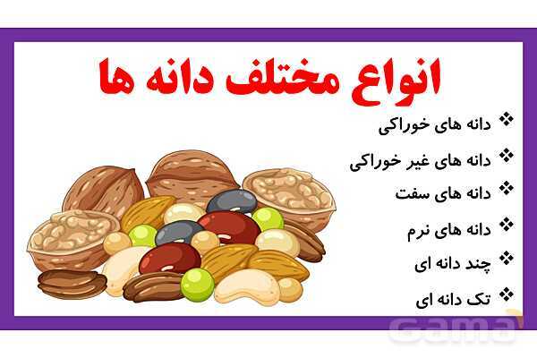 پاورپوینت تدریس درس 9: سرگذشت دانه | علوم تجربی دوم دبستان- پیش نمایش
